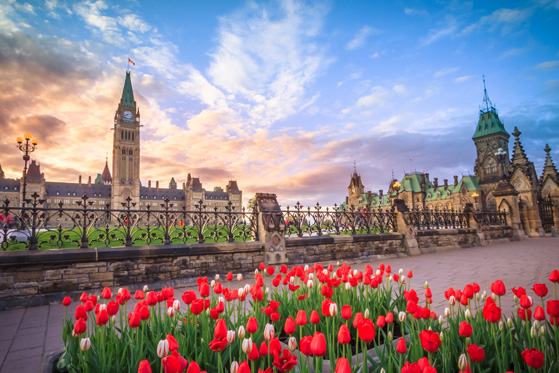 Odenza-Promotion-CANADA-CITY-ADVENTURE-EPFAPCAWC-2